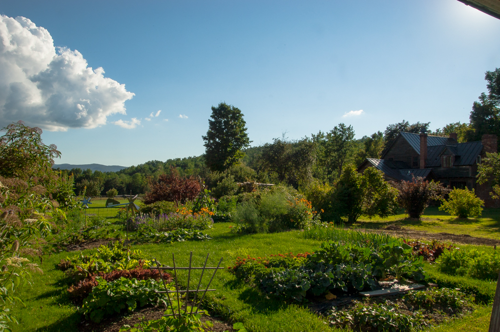 veg garden_